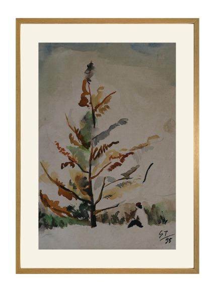 Scenery - Nguyễn Sĩ Thiết 