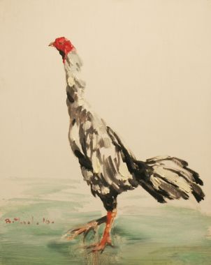 Chicken - Year of chicken - Bùi Văn Tuất