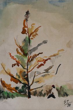 Phong cảnh - Nguyễn Sĩ Thiết