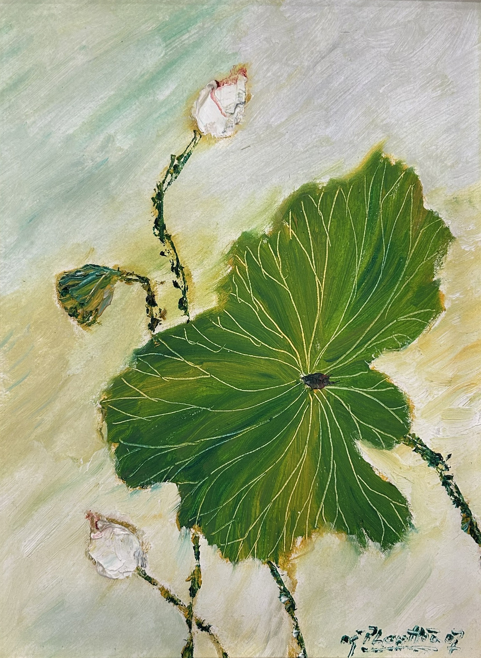 Lotus - Nguyễn Phan Hòa